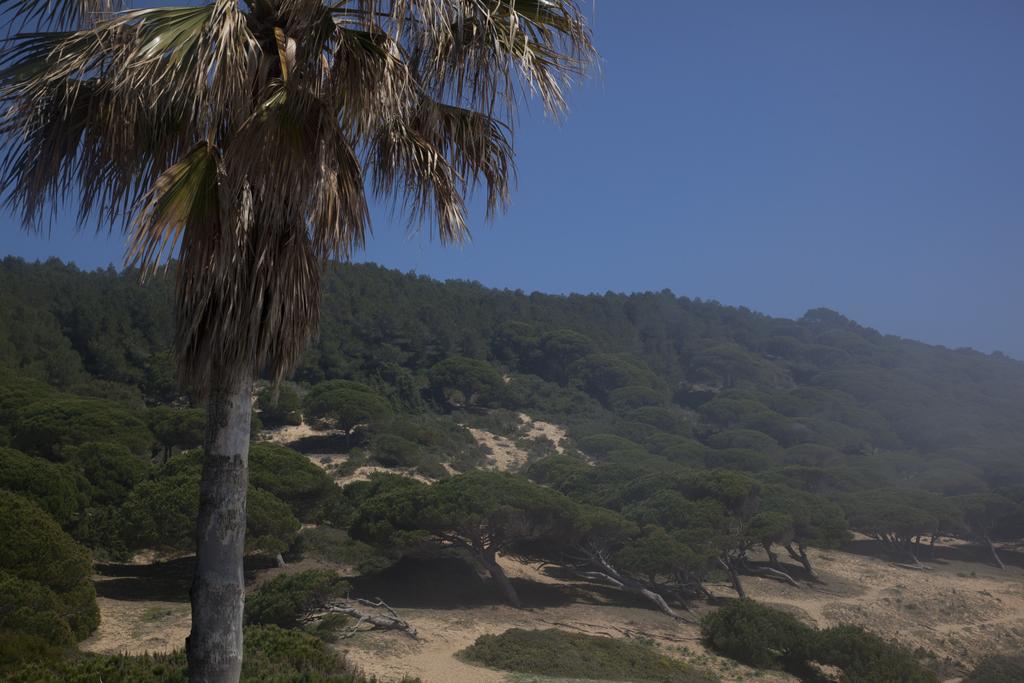 Hostal Mar De Frente 로스 카뇨스 데 메카 외부 사진