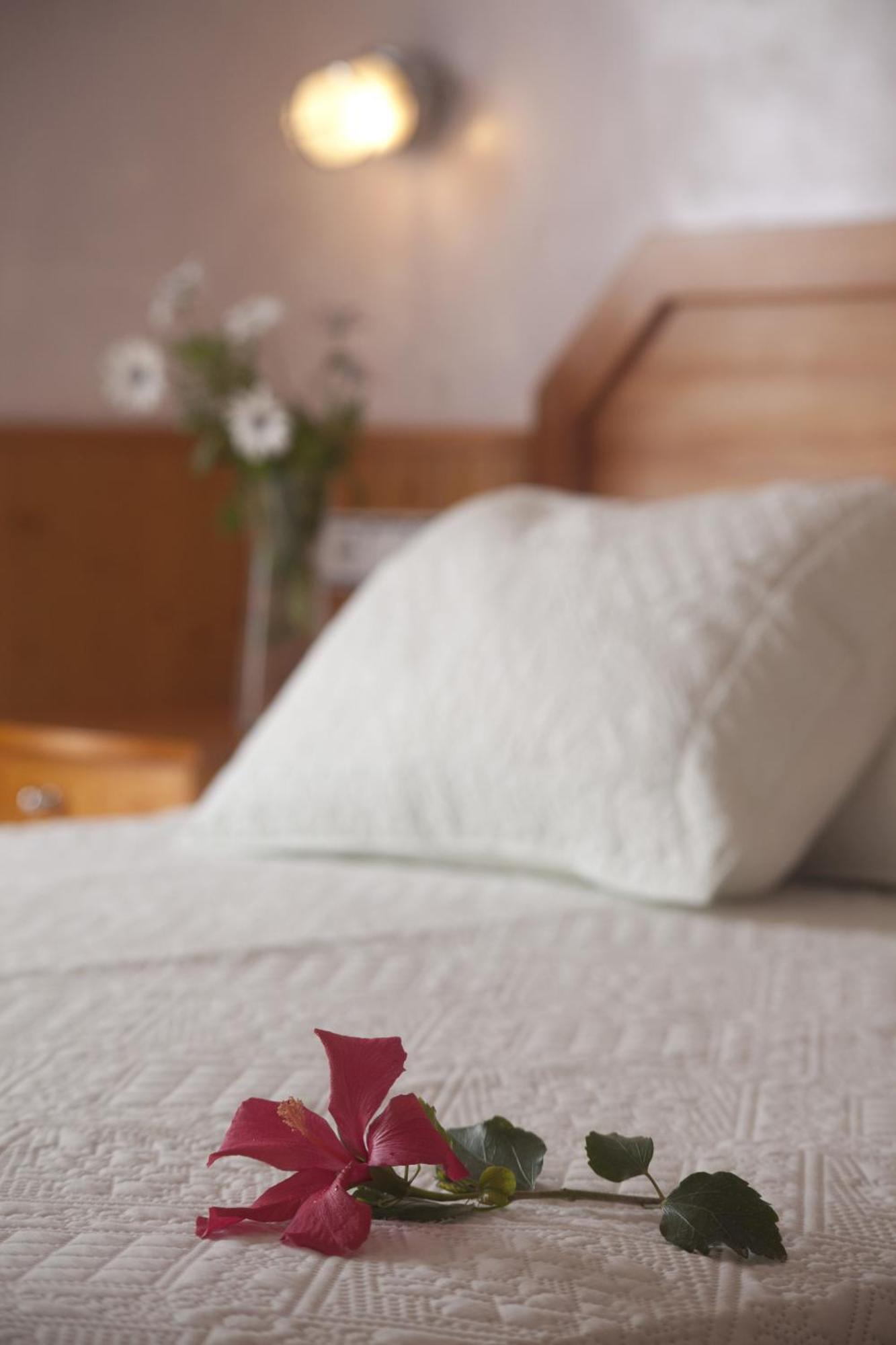 Hostal Mar De Frente 로스 카뇨스 데 메카 객실 사진